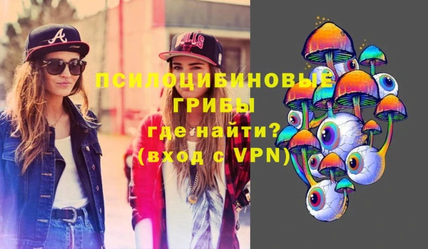 крисы Киренск
